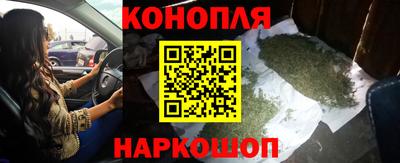 спиды Гусев