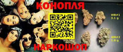 спиды Гусев