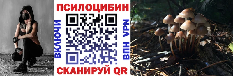 Псилоцибиновые грибы Psilocybine cubensis  Кохма 