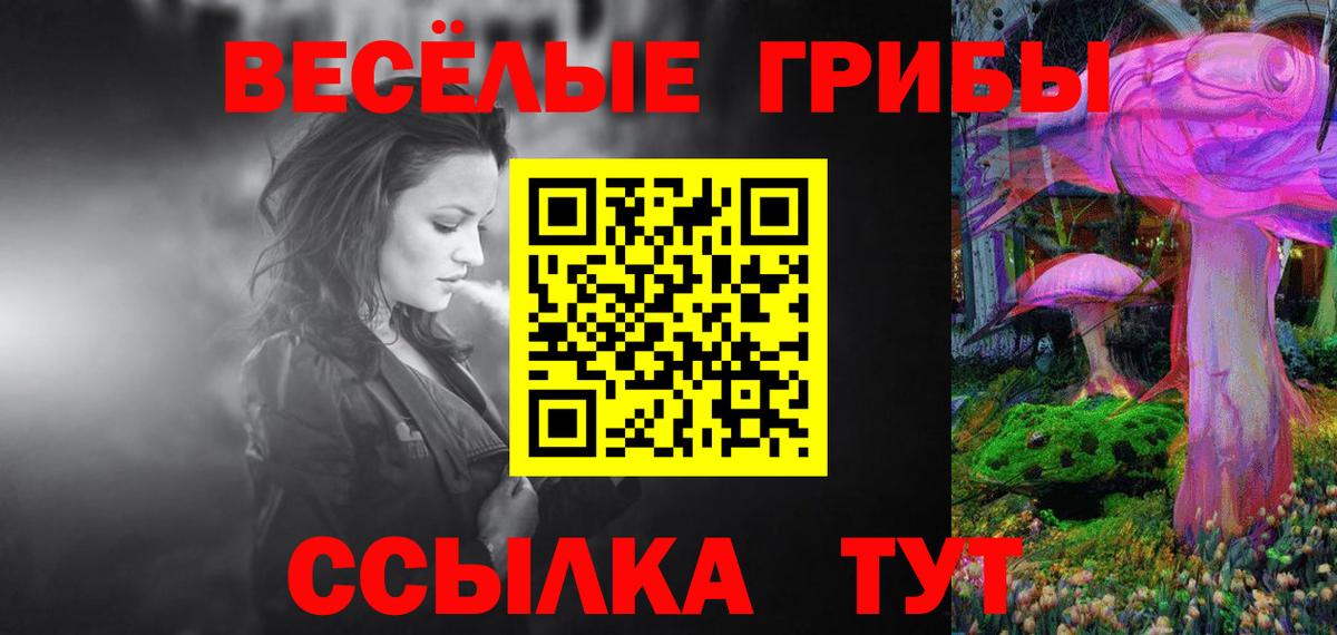 Псилоцибиновые грибы MAGIC MUSHROOMS  как найти закладки  Кохма  Вход с VPN  Псилоцибиновые грибы Cubensis 